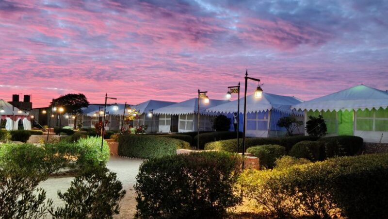 Luxury tent, dinner, breakfast, camel ride in thar desert - Authenticity and Value