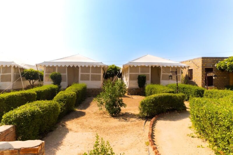 Luxury tent, dinner, breakfast, camel ride in thar desert - The Sum Up