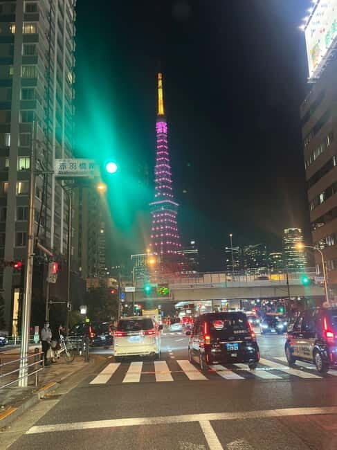 Luxury Tokyo City Attractive Full Day Private Tour - Exploring Tokyo with a Private Guide: What to Expect