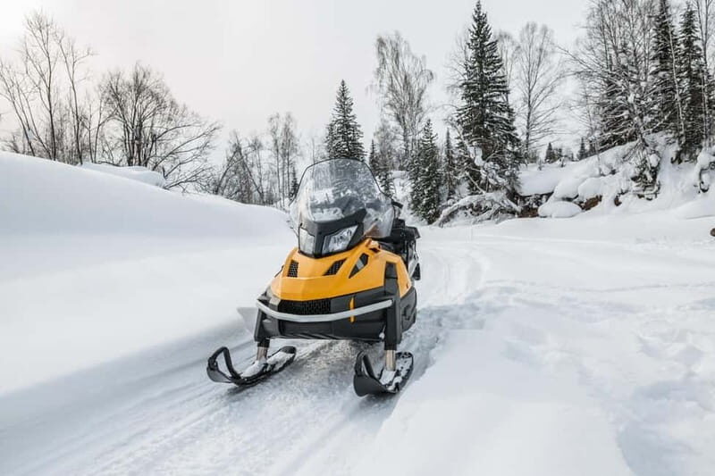 Luxury Tour Andorra with snow driving course from Barcelona - Discovering the Pyrenees and Andorra: A Deep Dive