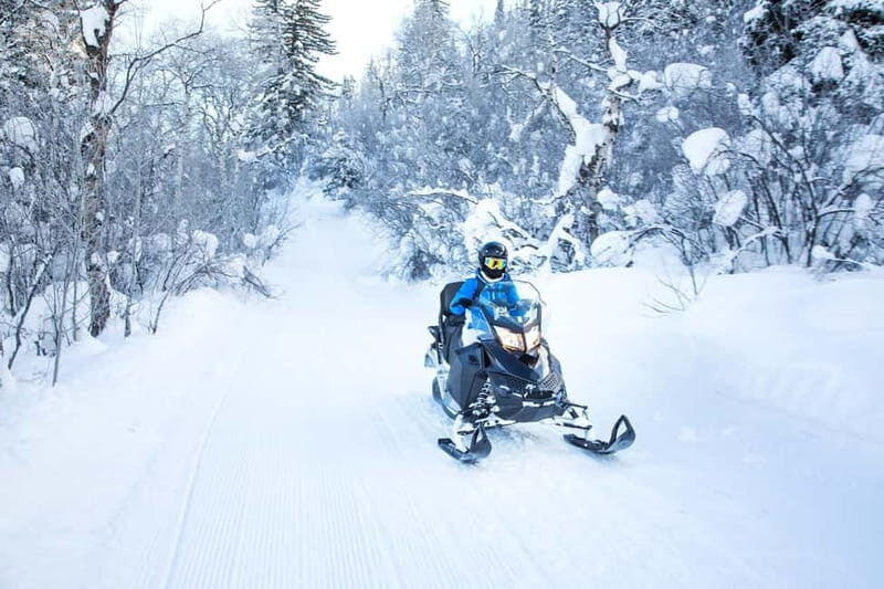 Luxury Tour Andorra with snow driving course from Barcelona - Who Will Love This Tour