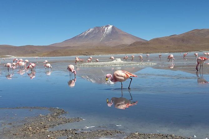Luxury Uyuni Salt Flats 3D 2N Tour From La Paz by Air - FAQ