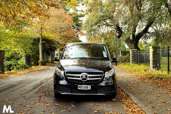 Luxury Van - Sydney Airport Private Arrival Transfer - Who Should Book This Transfer?