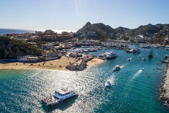 Luxury Whale Watching Dinner Cruise in Cabo - An In-Depth Review of the Luxury Whale Watching Dinner Cruise