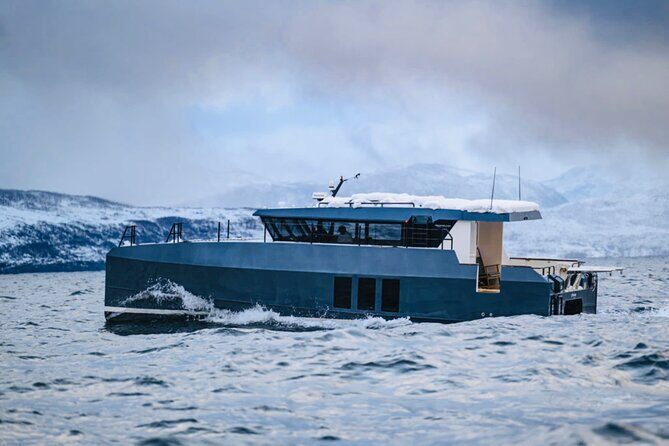 Luxury Whale Watching From Tromso - Small group and local guide - An In-Depth Look at the Tromsø Whale Watching Experience