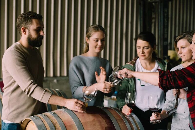 Luxury Wine Tasting & Fine Dining Trip From Sydney - Key Points