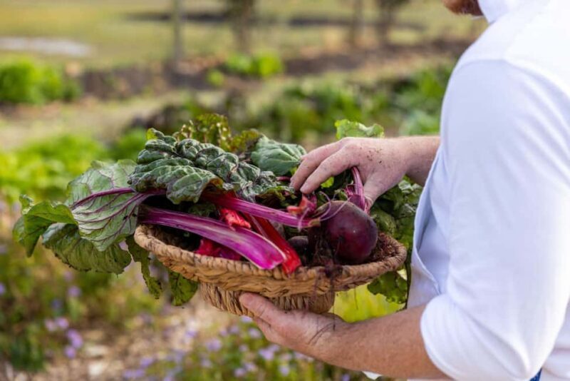 Luxury Wine Tasting & Fine Dining Trip From Sydney - Who Will Love This Tour?