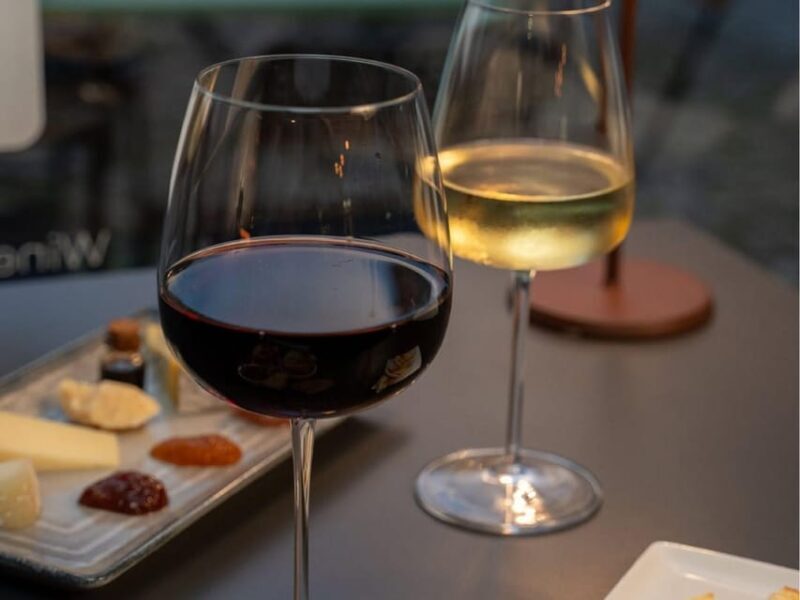 Luxury Wine Tasting in Modena City Center - A Deep Dive into the Experience