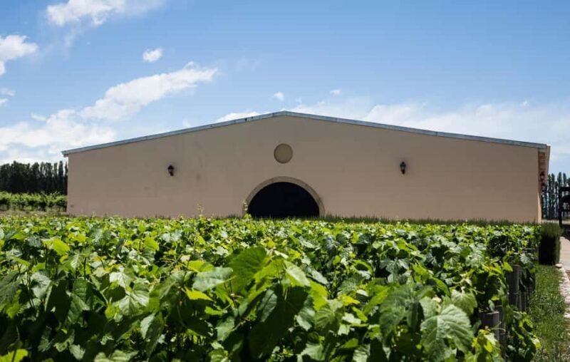 Luxury Wine Tasting in Uco Valley/ Boutique Wineries & Asado - Authenticity and Value