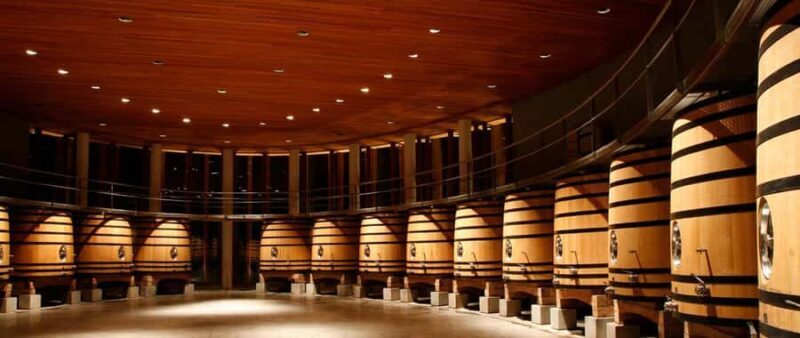 Luxury Wineries in Colchagua Full Day Tour - Key Points