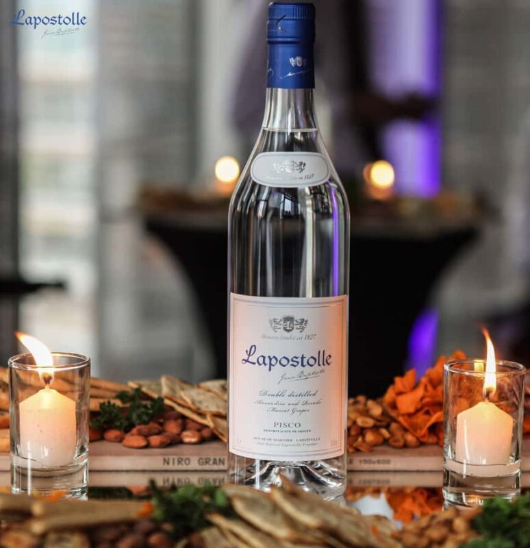 Luxury Wineries in Colchagua Full Day Tour - Who Should Consider This Tour?