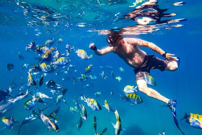 Luxury Yacht & Snorkel with All inclusive Open bar and lunch - Price & Value: Is it Worth It?