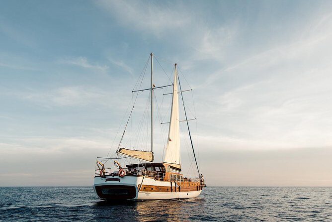 Luxury Yacht Snorkeling & Lunch Cruise from Cabo San Lucas - Authentic Experiences and Traveler Insights