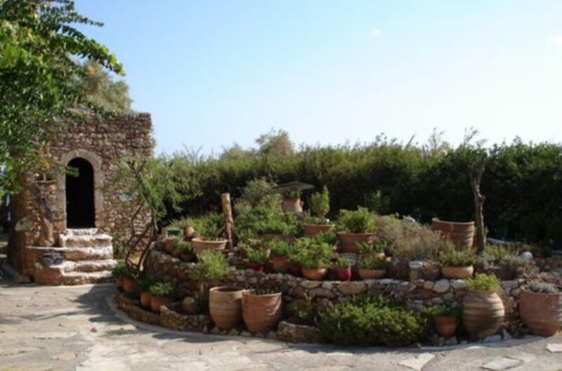 Lychnostatis Open Air Museum: Entry Ticket with Add-Ons - A Closer Look at the Lychnostatis Open Air Museum in Crete