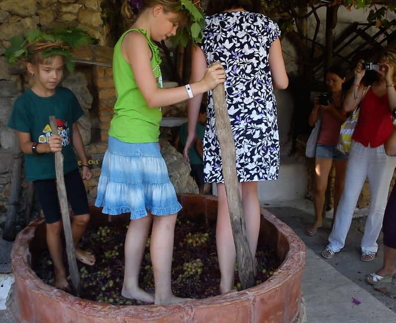 Lychnostatis Open Air Museum : Grape-Feast every Wednesday - A Genuine Taste of Crete: The Grape-Feast at Lychnostatis Open Air Museum