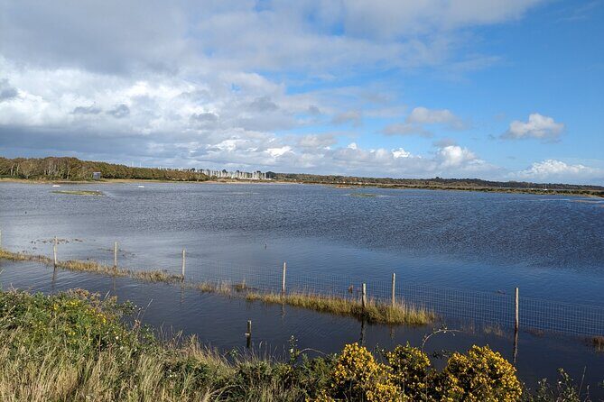 Lymington Wildlife Discovery Walk - In-Depth Review of the Lymington Wildlife Discovery Walk