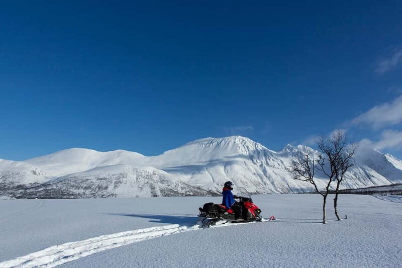 Lyngen Alps: Snowmobile Safari in the Arctic Wilderness - Practical Considerations and Tips