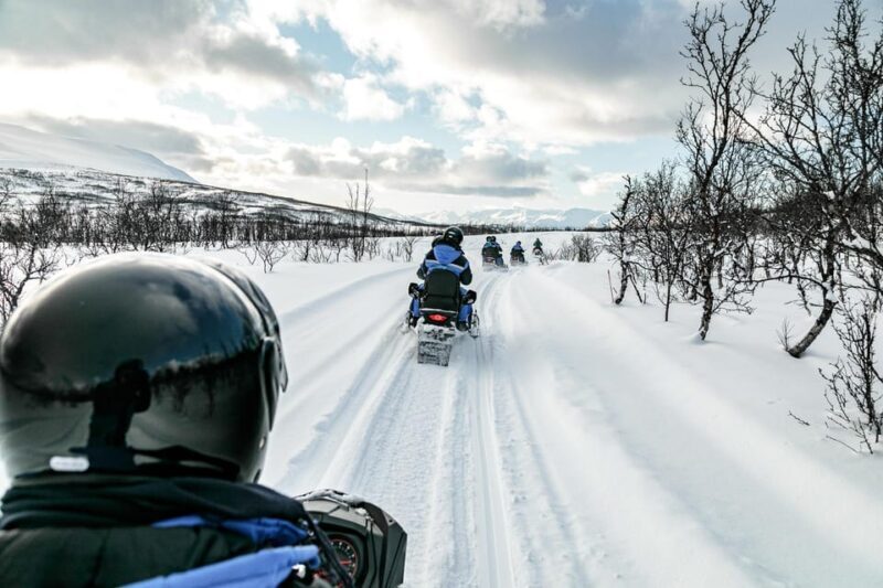 Lyngen: Snowmobile Safari with Lunch in seaside Restaurant - Key Points