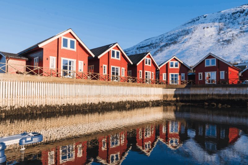Lyngen: Snowmobile Safari with Lunch in seaside Restaurant - The Lunch Experience