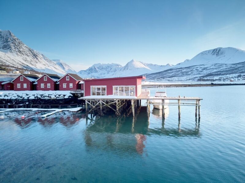 Lyngen: Snowmobile Safari with Lunch in seaside Restaurant - Who Will Love This Tour?