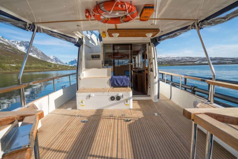 Lyngen: Whale Watching VIP Boat Tour with Lunch - FAQ