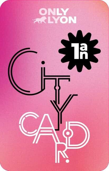 Lyon: 1-Year City Card with 4 Free Activities and Discounts - Exploring Lyon with a 1-Year City Card: What You Can Expect
