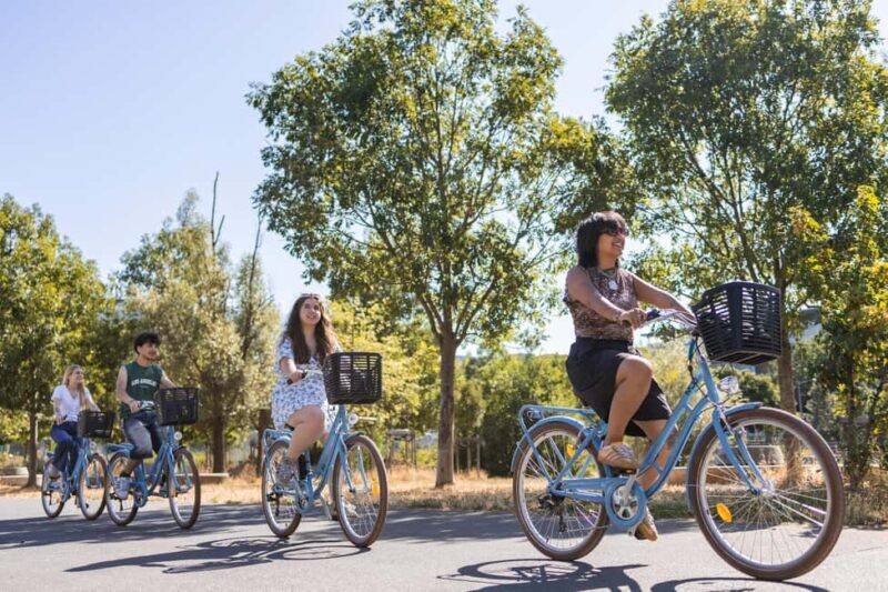 Lyon: city highlights bike tour - From the Heart of Lyon to Modern Districts