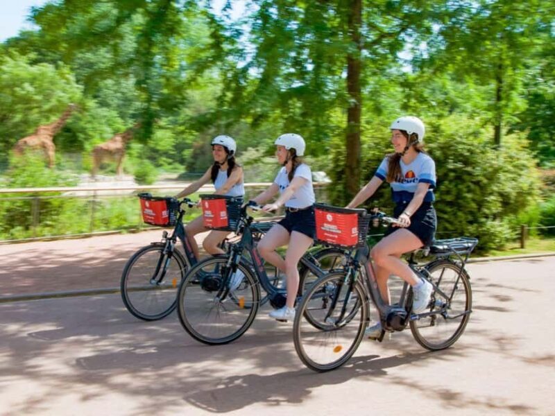 Lyon: Electric bike rental - 2 hours - A Closer Look at the Electric Bike Experience in Lyon