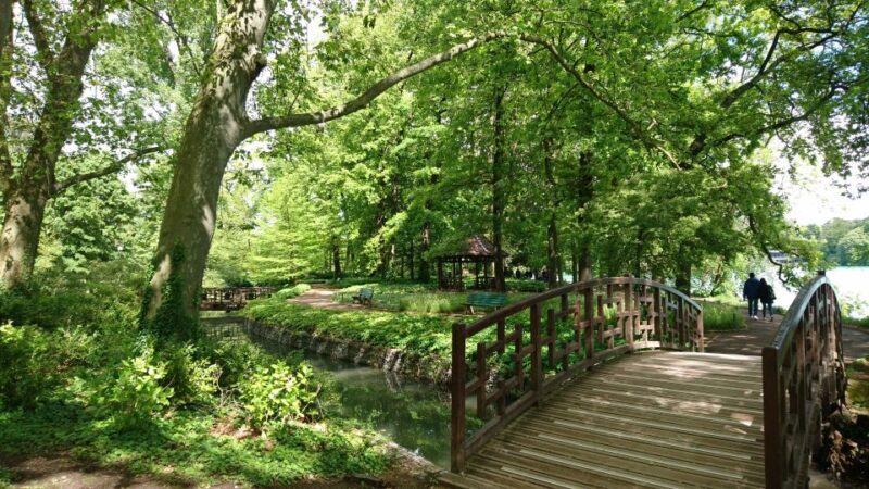 Lyon: 'Parc de la Tête d'Or' Urban Park Walking Tour - Lyon: Parc de la Tête dOr Urban Park Walking Tour
