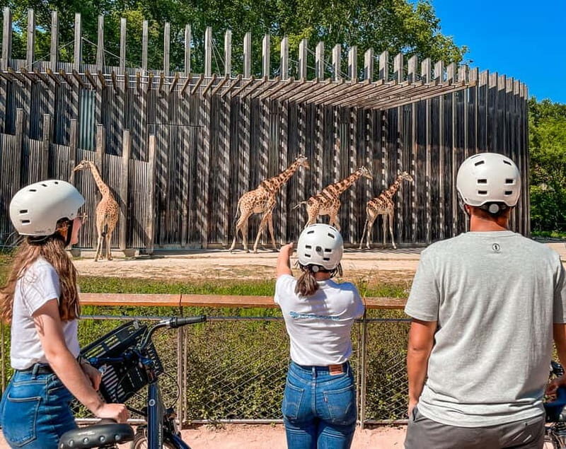 Lyon: Tête d'Or park on an electric bike Tour - Exploring Lyon on a Two-Hour Electric Bike Tour