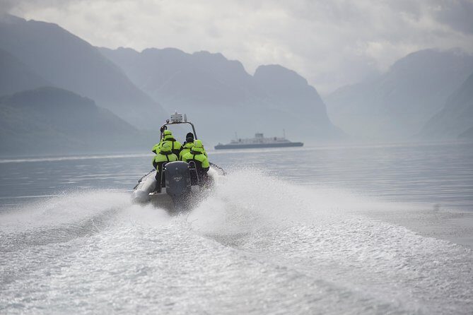 Lysefjord RIB Safari from Stavanger - Key Points