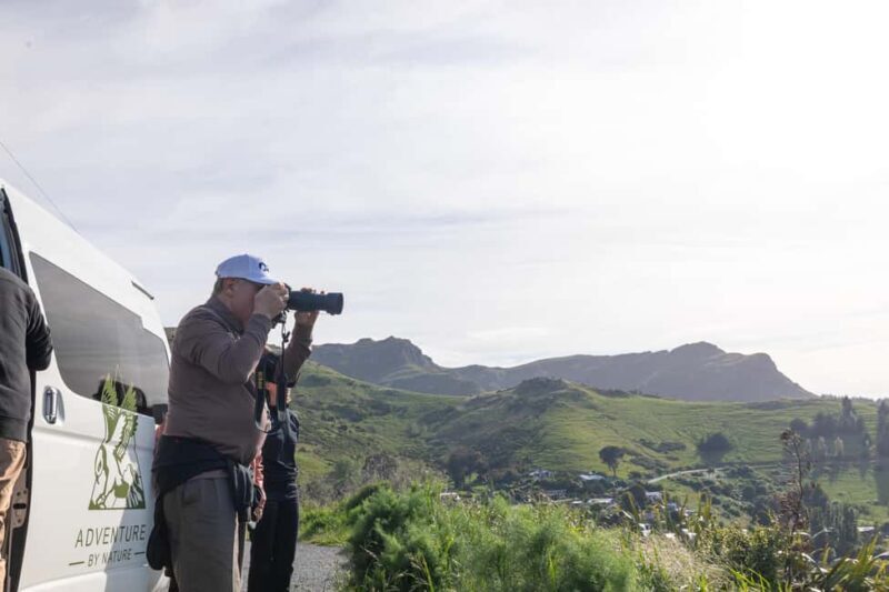Lyttelton: Shore Excursion, Castle Hill & Inland Canterbury - Key Points