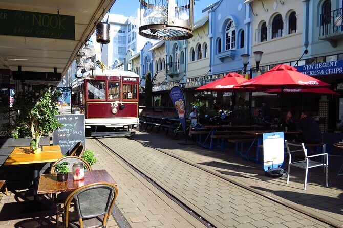 Lyttelton Shore Excursion: Christchurch Sightseeing with Antarctic Center - FAQ