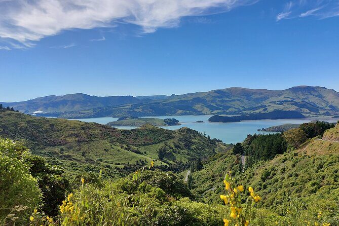 Lyttelton Shore Excursion: Christchurch Sightseeing with Jet Boating - What to Expect From the Guides and Transportation