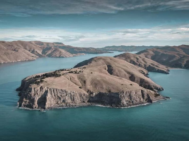 Lyttelton: Shore Excursion, Godley Head, Guided Walk - Lyttelton: Shore Excursion, Godley Head, Guided Walk — A Deep Dive into New Zealand’s Coastal Charm