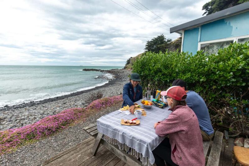 Lyttelton: Shore Excursion, Godley Head, Guided Walk - The Itinerary: A Walk Through Natural Beauty and History