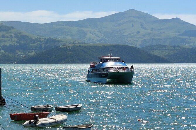 Lyttelton Shore Excursion: Twin Harbour Tour (Lyttelton & Akaroa) - Authentic Experiences and Traveler Feedback