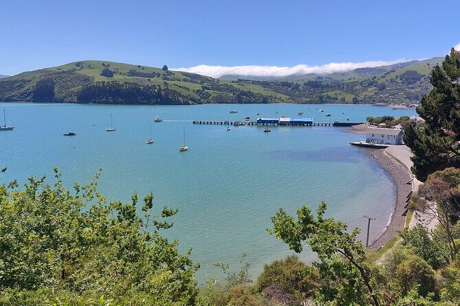 Lyttelton Shore Excursion: Twin Harbour Tour (Lyttelton & Akaroa) - The Sum Up