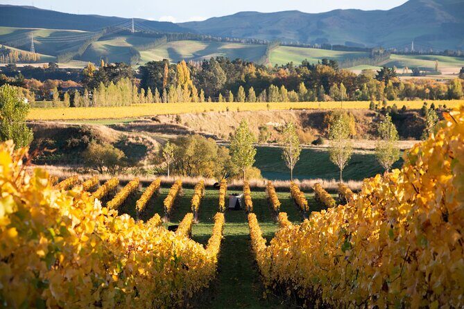 Lyttelton Shore Excursion: Waipara Valley Wine Tour with Lunch - Return and Final Views