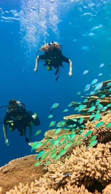 Maafushi: Discover Scuba Diving Class, First Time Experience - Maafushi: Discover Scuba Diving Class, First Time Experience