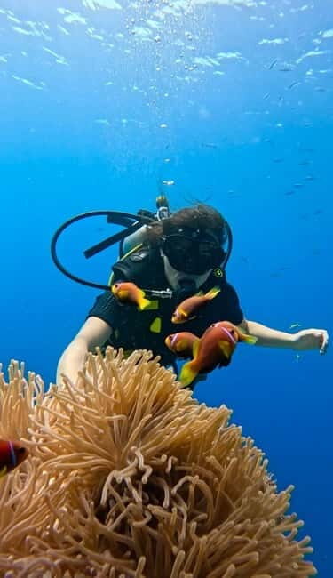 Maafushi: Discover Scuba Diving Class, First Time Experience - Key Points