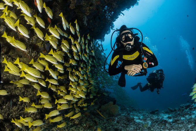 Maafushi: Discover Scuba Diving in Maldives (for Beginners) - Frequently Asked Questions