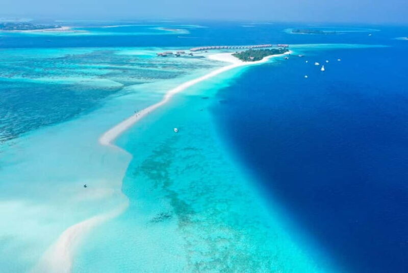 Maafushi: Nurse Sharks, Stingrays, Sand Bank and Dolphins - In-Depth Look at the Tour Experience