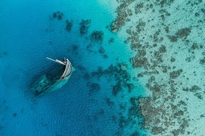 Maafushi: Ship wreck & Nurse shark snorkeling with Dolphin watching - Detailed Review of the Snorkeling and Dolphin Tour