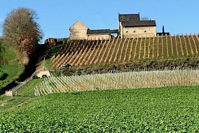 Maastricht Heritage and Nature Tour - Why This Tour Works Well