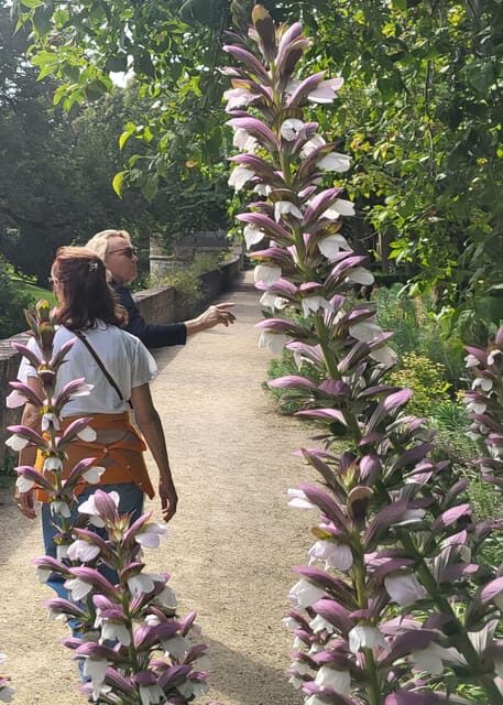 Maastricht Hidden Gems Tour Uncover the Unexpected - FAQs