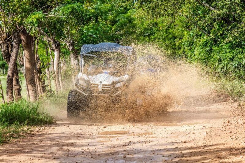 Macao Beach: Buggy Safari and Cenote Swimming with Pickup - The Sum Up