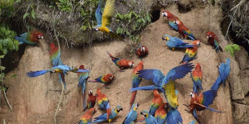 MACAWS CHUNCHO EXCURSION 4D/3N - FAQ
