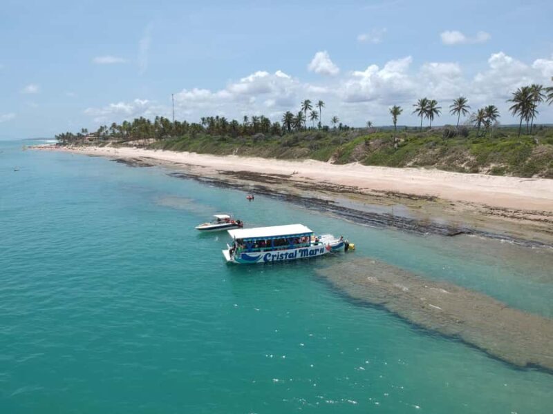 Maceio: City Tour with Frances Beach - Who Should Consider This Tour?