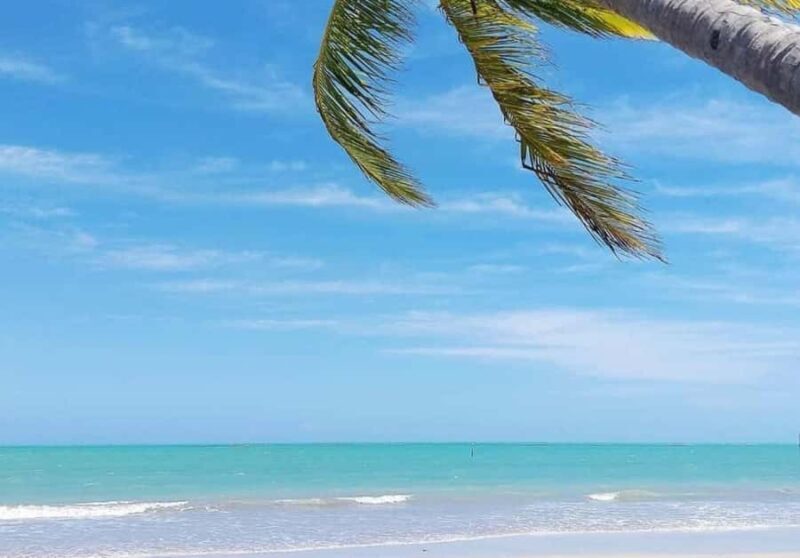 Maceió: Ipioca Beach Tour (Hibiscus Beach Club) - Key Points